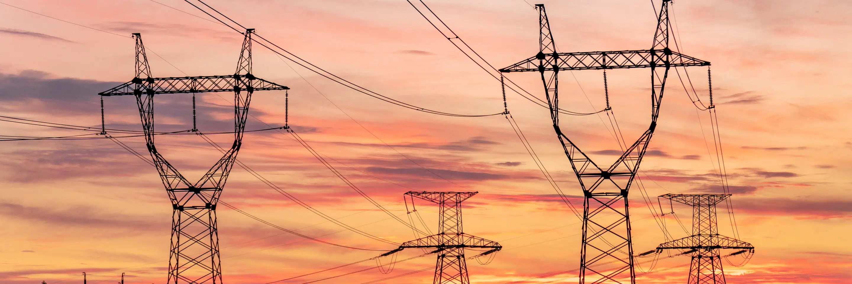Electric grid policy