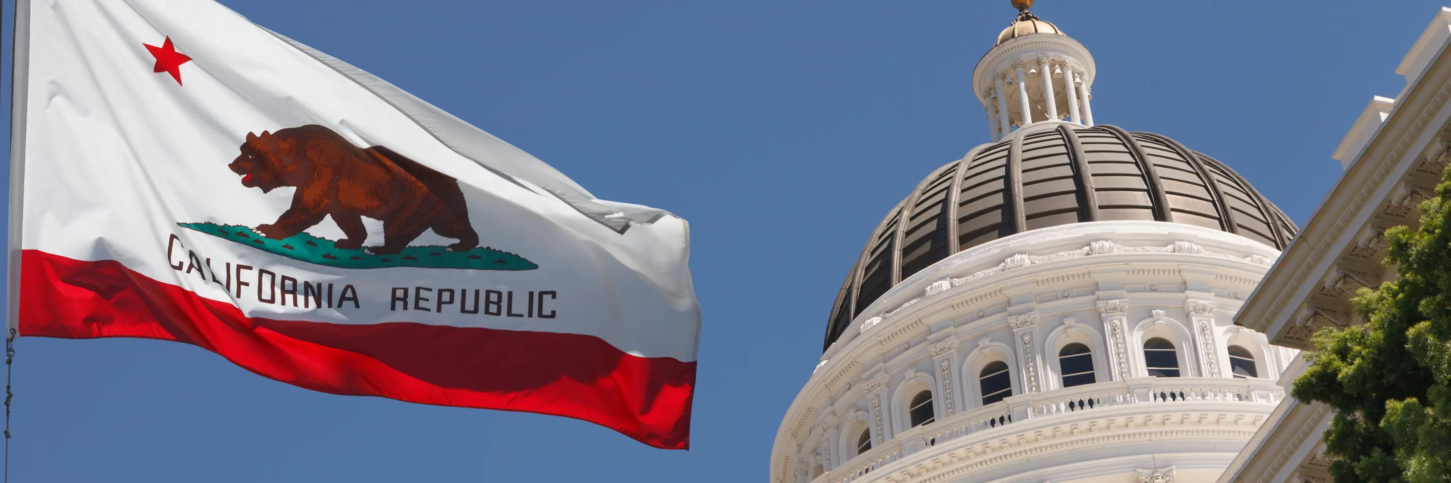 California Flag and Capitol