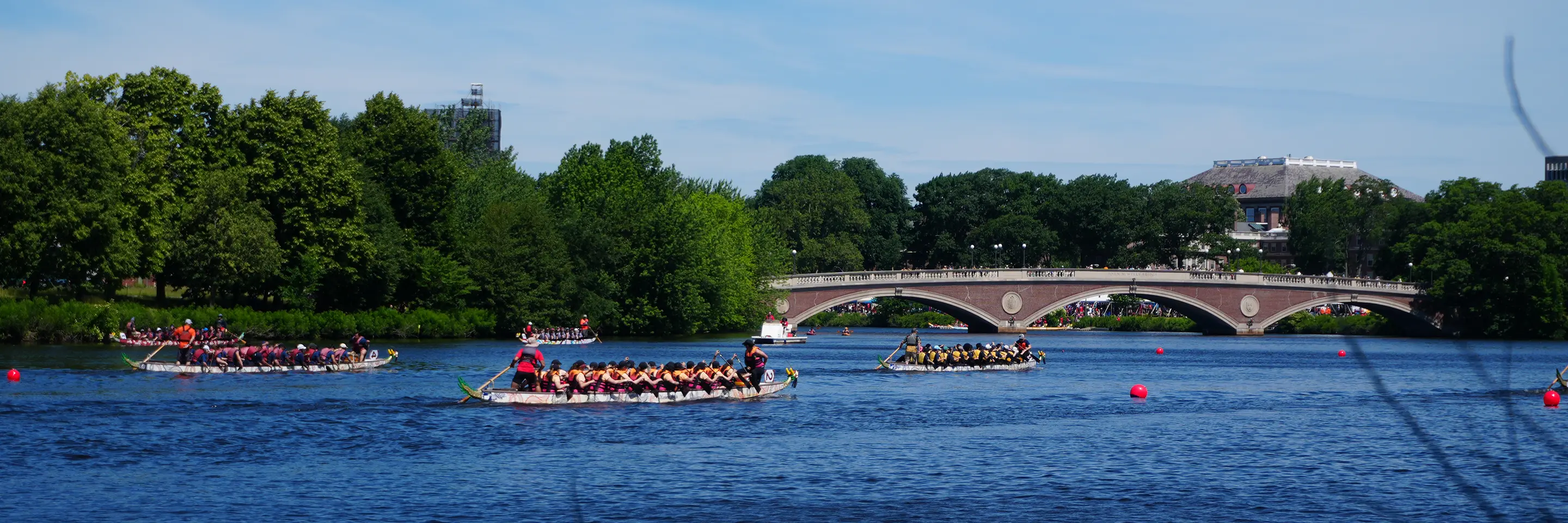 Several boats race down the Charles River in Cambridge