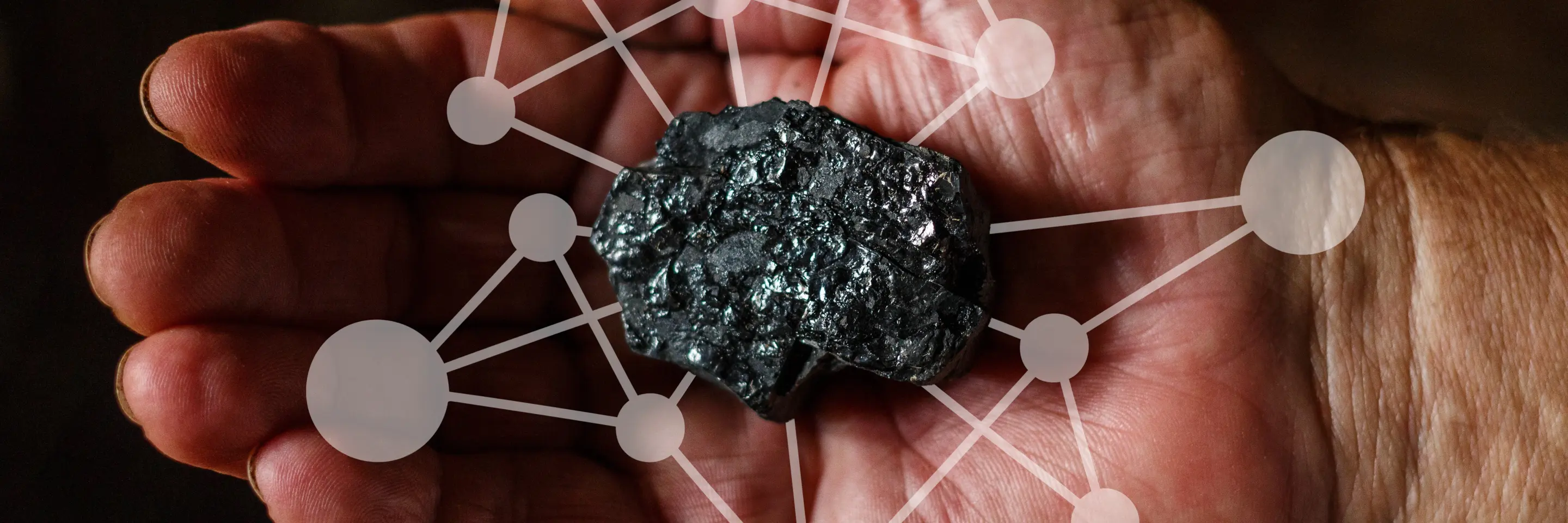 Coal with a web of connectivity