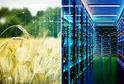 Binary code over a wheat field appears next to a data center