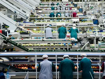 Assembly line workers in an European workplace