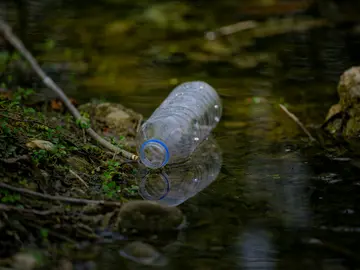 Water bottle floating in dark forested creek