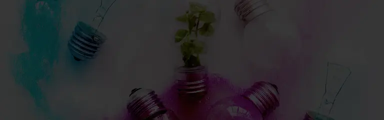 lightbulbs