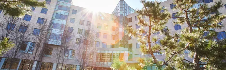 Sun shines on MIT Sloan building E60