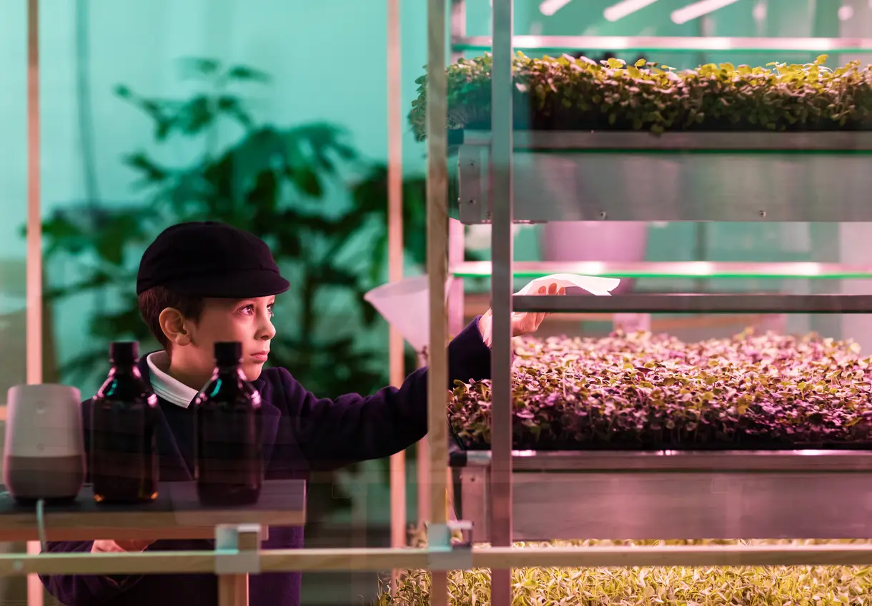 IKEA Space10's Lokal, a pop-up hydroponic salad bar in London. 
