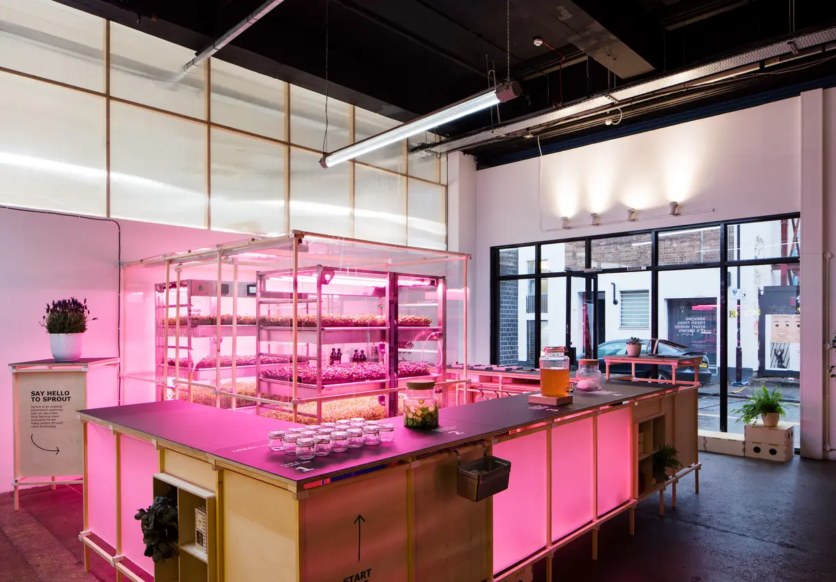 IKEA Space10's Lokal, a pop-up hydroponic salad bar in London. 