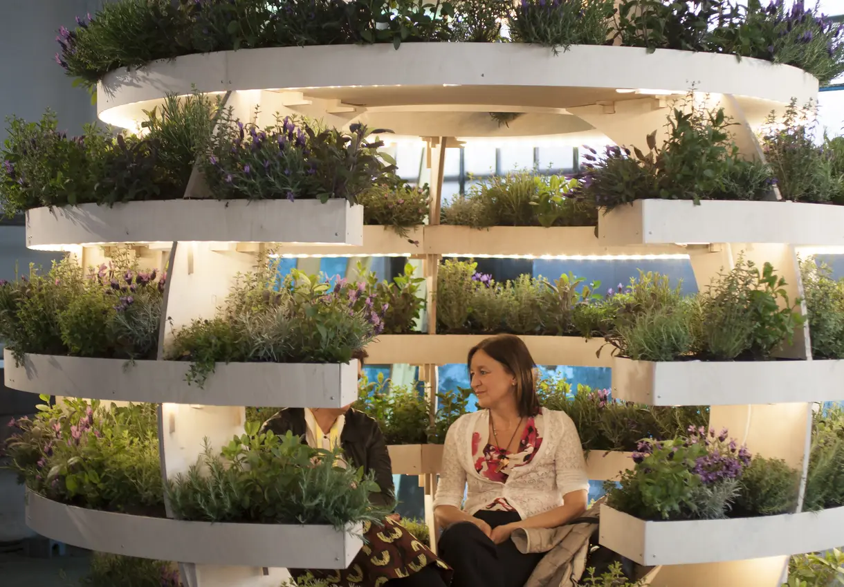 IKEA Space10's Growroom, a spherical structure initially designed with the idea of using architecture as a local food producer.