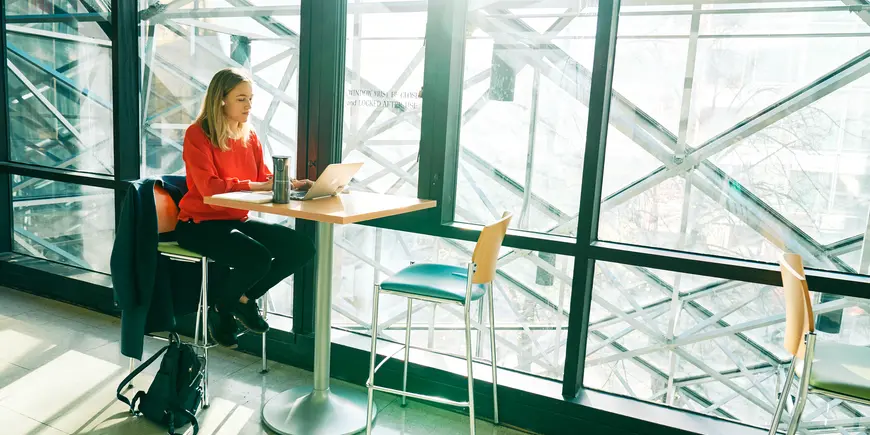 Elisa is in a zoom meeting for her Analytics Lab class