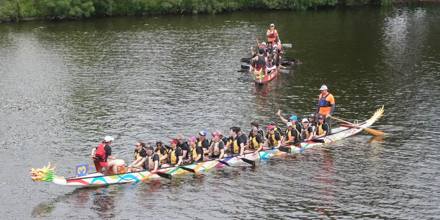 Several racing boats rest after a race