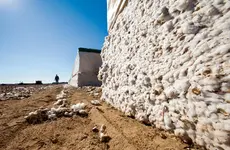 Aiding Gap's Move to Recycled Cotton