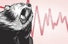 On the Back of the Gray Rhino: Financial Market Vulnerabilities & Innovation-Driven Entrepreneurship