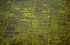 SokoShare wins 2019 Enterprise Management Lab hackathon