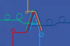 System Dynamics Case Studies