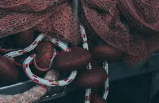 Reducing Waste in the Seafood Industry