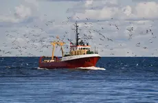 Fishbanks: A Renewable Resource Management Simulation