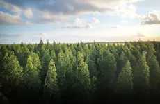  College reconsiders biomass plant, continues work on heating system