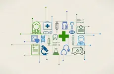 Update on the 2019 HSI Research Projects