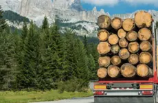 Letter Regarding Use of Forests for Bioenergy