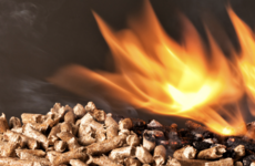   Wood pellets draw fire as alternative to coal
