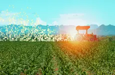 Supply Chain and Market Design Optimization