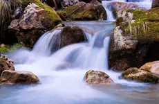 ESG ratings: Don’t throw the baby out with the bath water