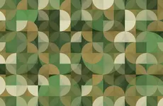 For Student and Alumni Veterans, a Community to Rely On