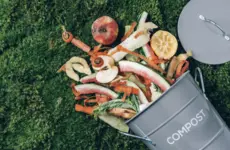 Systemic Investing to Tackle the US Food Waste Challenge