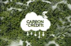   Explained: Carbon credits
