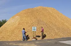 Burning wood pellets for energy endangers local communities’ health