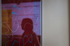 Organization Studies