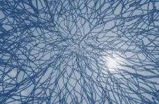 Systems Change Entrepreneurship for Shared Prosperity and Sustainable Economies