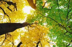 Evaluating Impact Investing through a Systems Thinking Lens