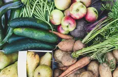 Developing innovative business models in the area of food sustainability