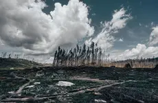 Climate Change Costs the Average U.S. Household 0/Year