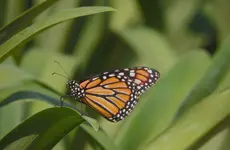 Systemic Investing for a Regenerative Future