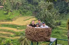 Creating a Live Bird Price Engine for Chickin Indonesia