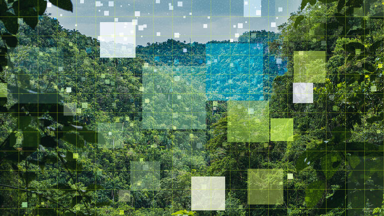 Data squares transposed on a green forest