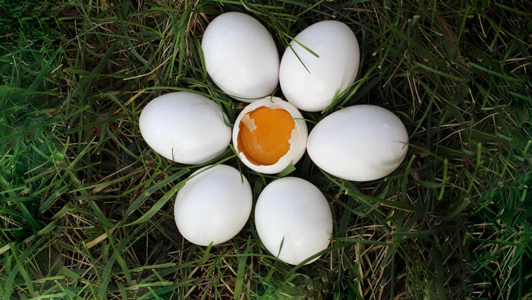 White eggs arranged in a circular pattern like a daisy with the center egg broken with yolk showing