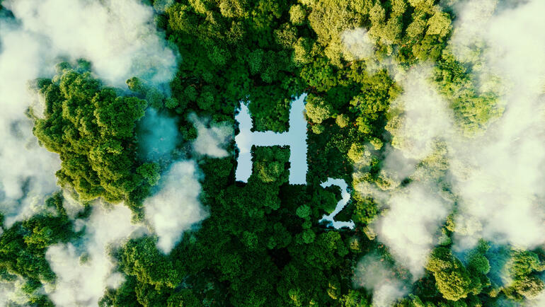 Aerial view of H2 symbol in jungle