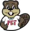 TIM the Beaver logo