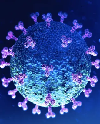 COVID-19 virus 