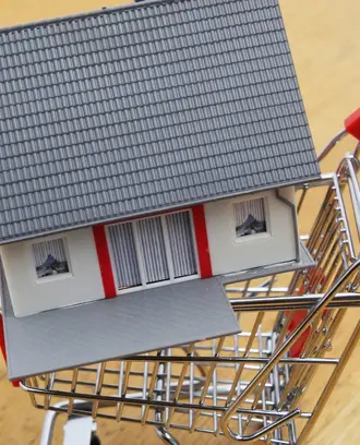House in shopping basket