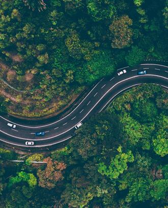 Aerial view of cars driving windy road between lush green forest.