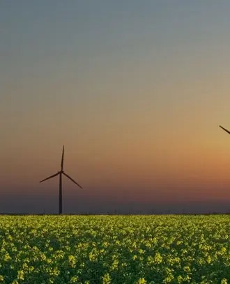 windmills in crop field with sunset