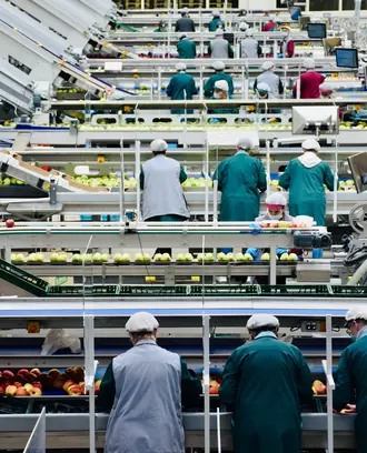 Assembly line workers in an European workplace