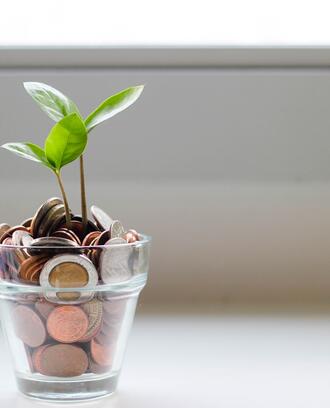 Image of a small plant with leaves apparently growing out of a container of coins.
