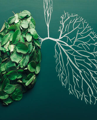 Chalk drawing of lungs with leaves filling in left lung