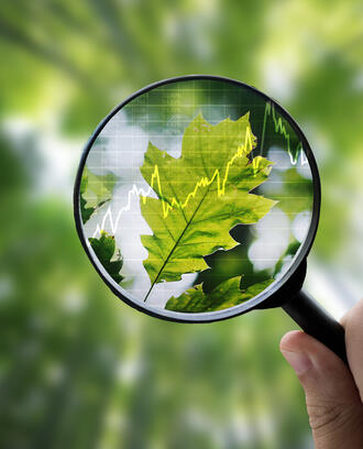 A hand holds a magnifying glass up against a leaf with a stock graph amongst a blurry forest background