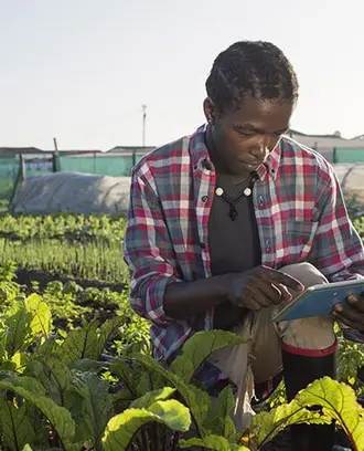 Photograph of a man using a tablet while kneeling in a argiculture field.